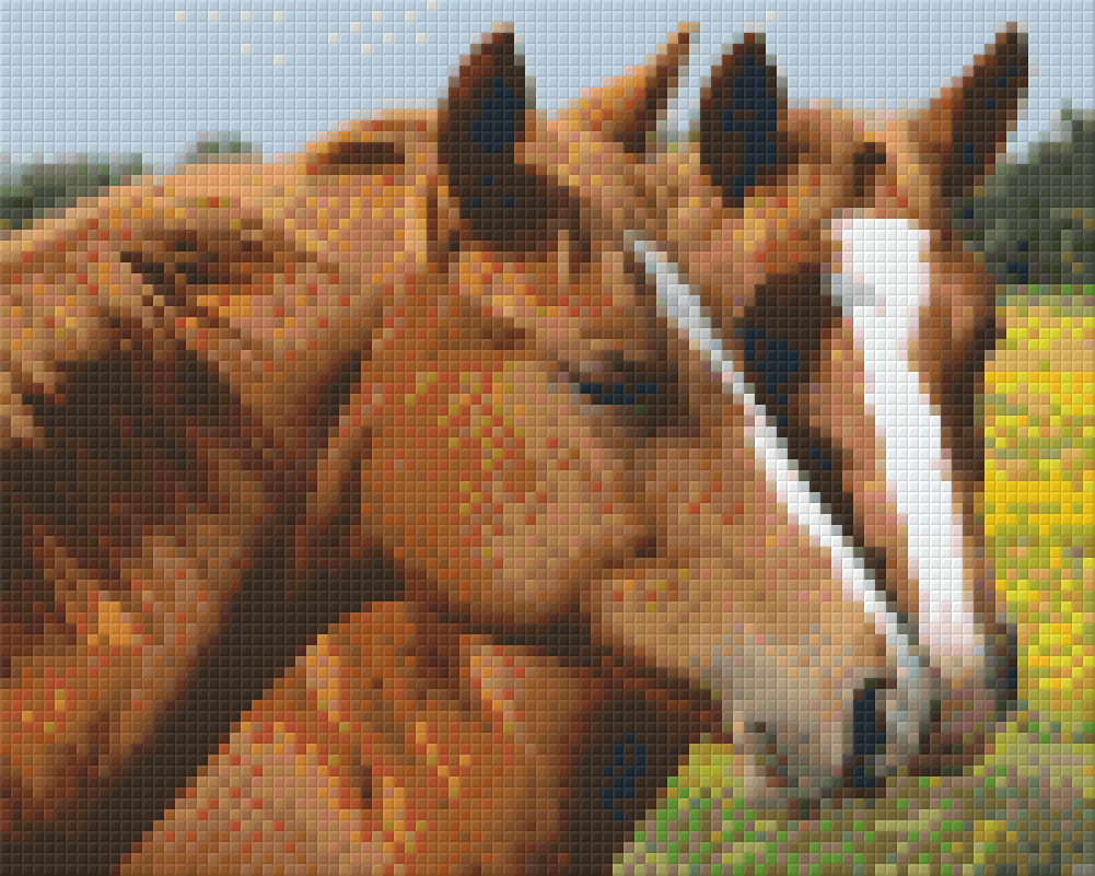 buy-the-newest-pixelhobby-klassik-vorlage-pferde-online-sale_0.png