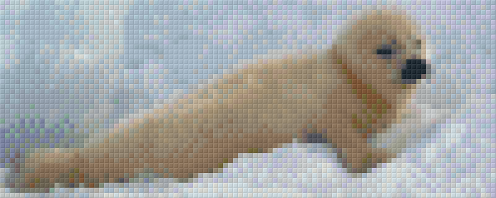 get-your-wholesale-pixelhobby-klassik-set-baby-seelowe-online-hot-sale_0.png