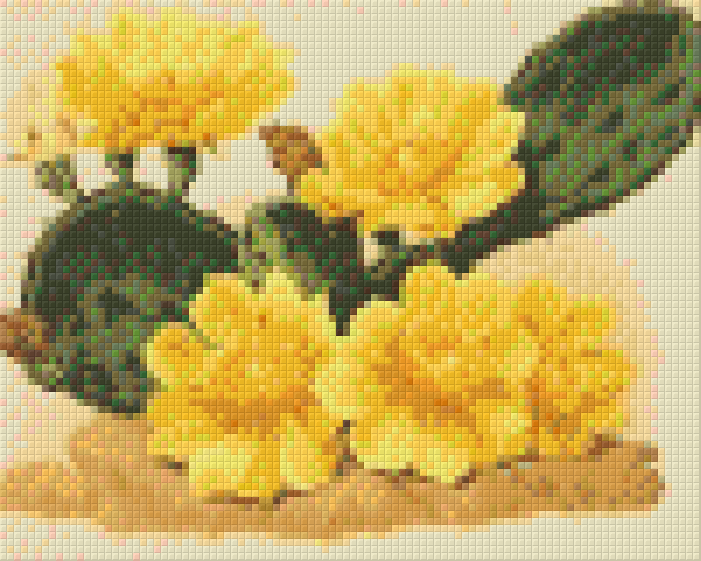 leaking-out-of-your-pixelhobby-klassik-set-kaktus-mit-gelben-blumen-online_0.png