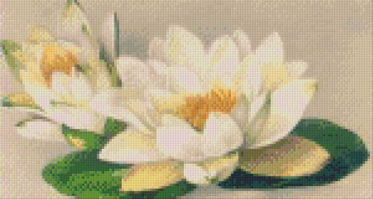 find-wholesale-pixelhobby-klassik-set-seerose-fashion_0.png