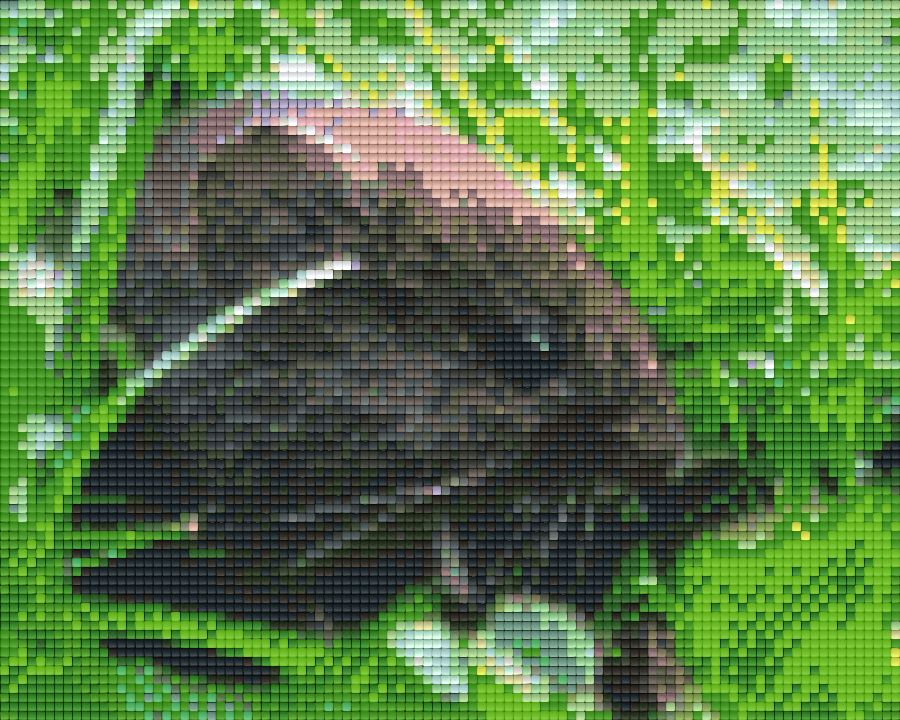 shop-our-official-pixelhobby-klassik-set-maus-on-sale_0.png