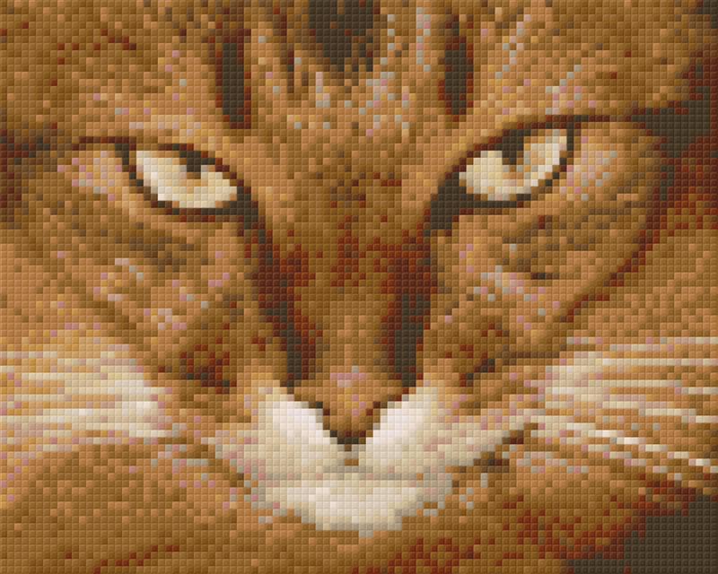 the-official-store-of-pixelhobby-klassik-vorlage-mietzekatze-3-discount_0.jpg