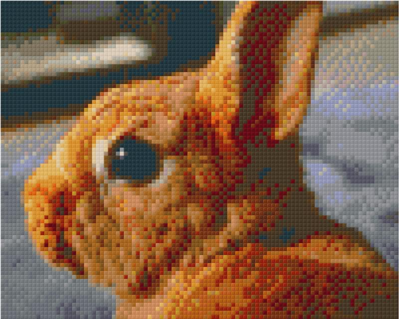 we-make-buying-your-favorite-pixelhobby-klassik-vorlage-hase-supply_0.jpg