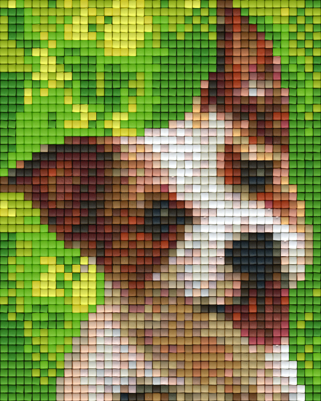 best-pixel-hobby-classic-template-terrier-discount_0.png