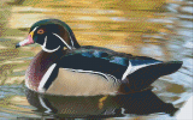best-pixel-hobby-classic-template-duck-online-sale_0.png