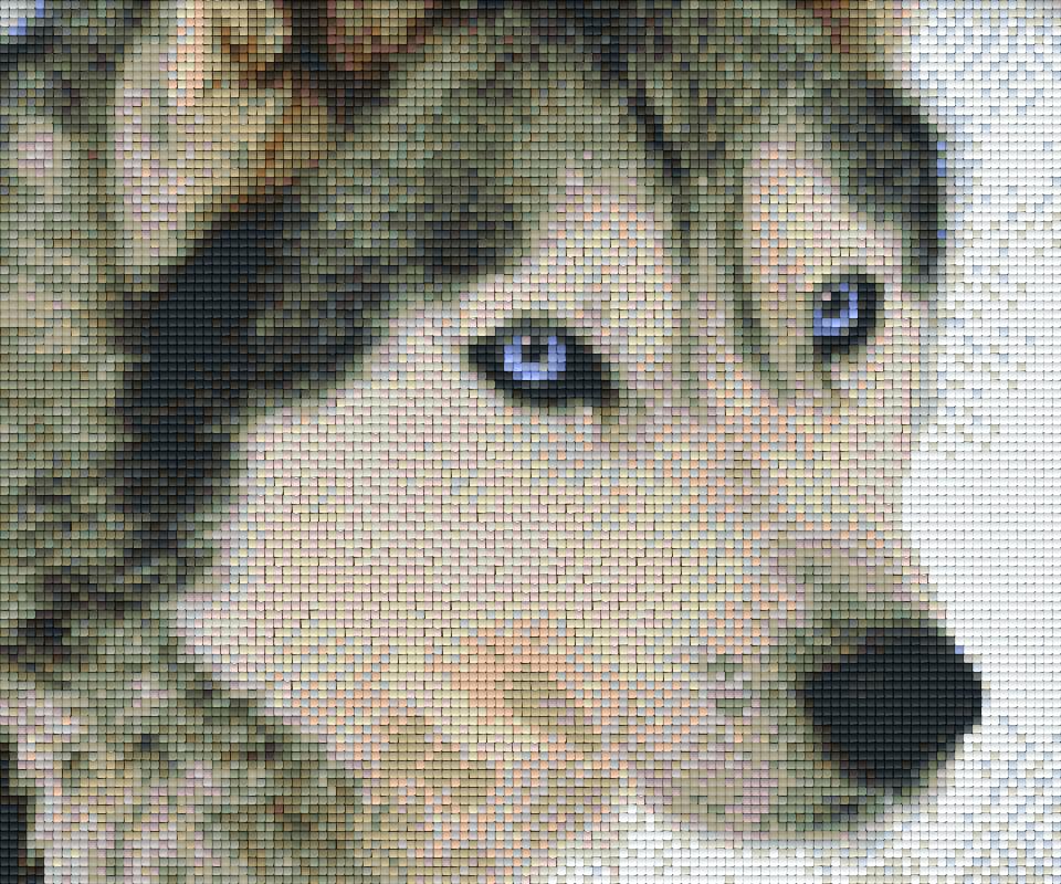 the-most-stylish-and-affordable-pixelhobby-klassik-set-husky-sale_0.png