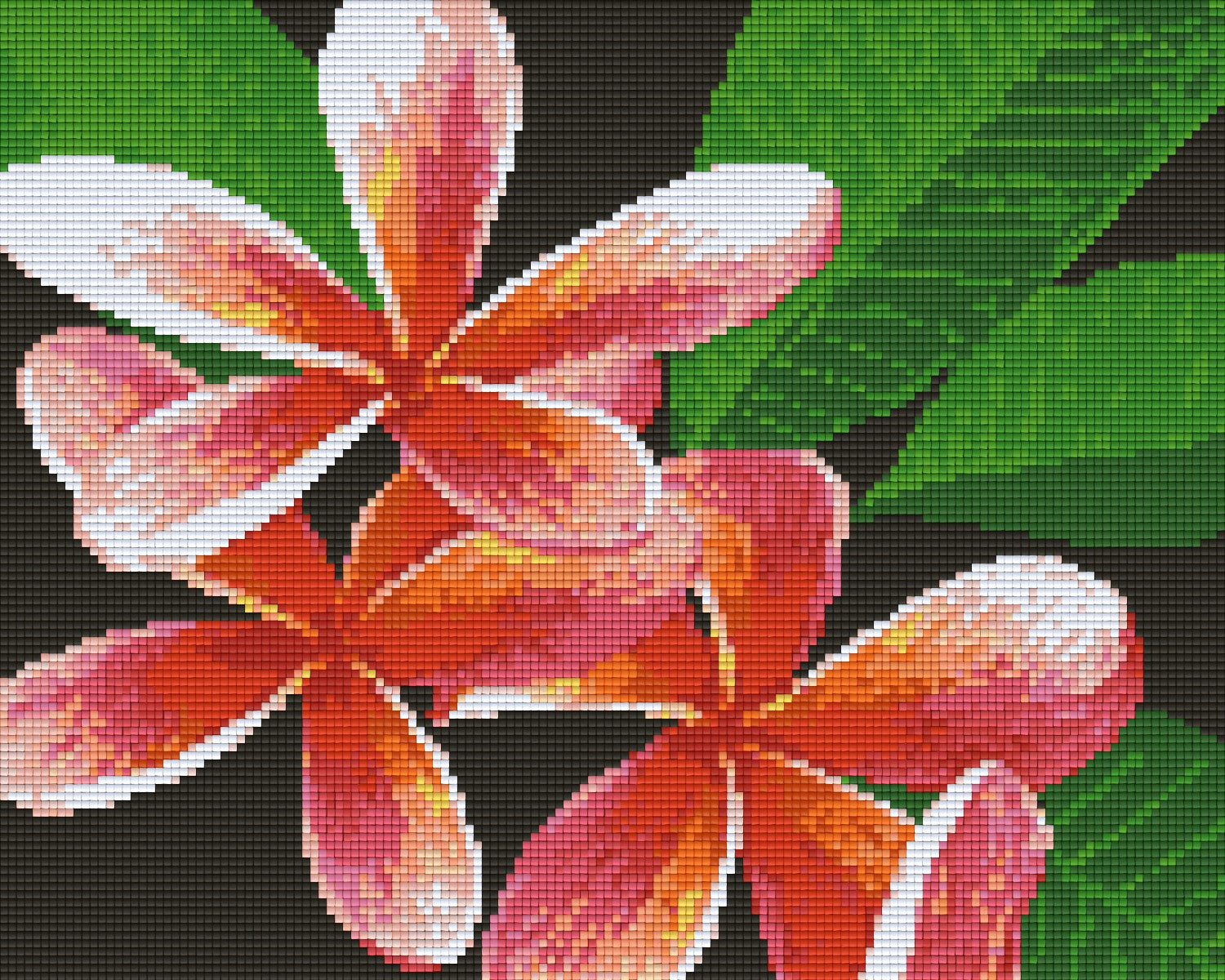 buy-all-your-favorite-pixelhobby-klassik-set-frangipani-hot-on-sale_0.jpg