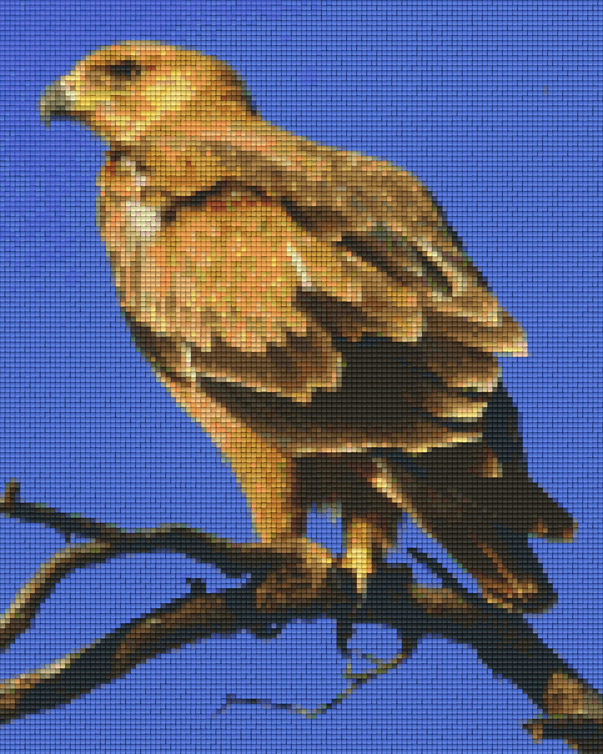 sports-gear-for-pixelhobby-klassik-set-tawny-adler-hot-on-sale_0.jpg