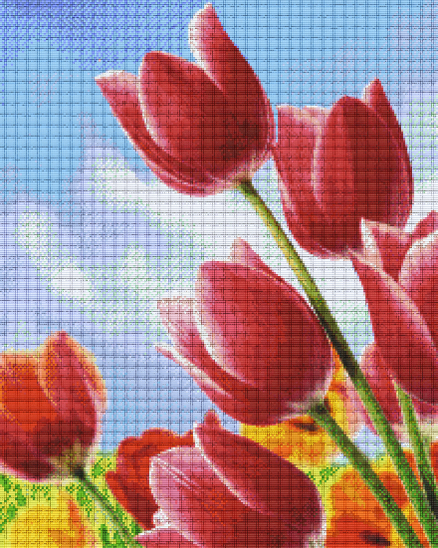 shop-our-huge-selection-of-the-best-pixelhobby-klassik-vorlage-tulpen-online-sale_0.png