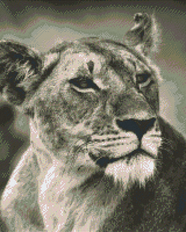the-official-site-of-pixelhobby-klassik-vorlage-lowin-s-w-on-sale_0.png