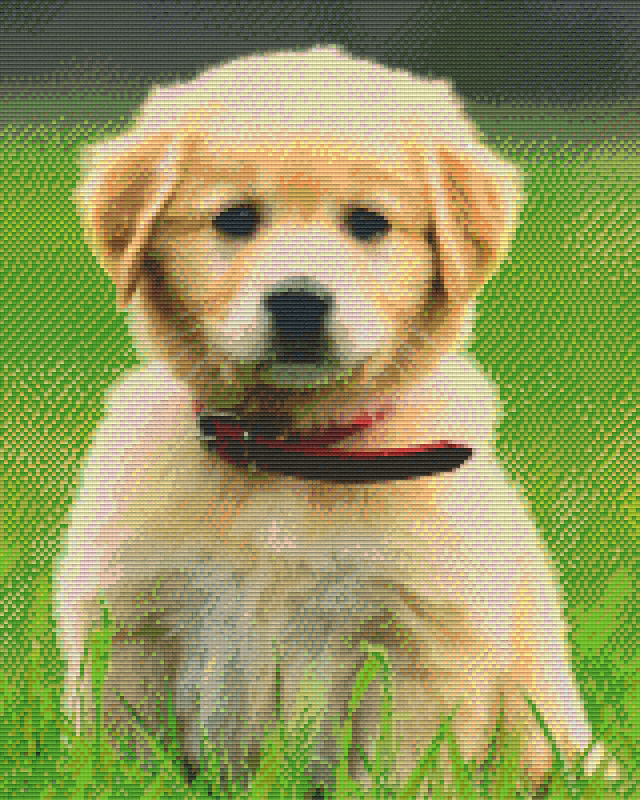 we-are-the-best-place-to-shop-pixelhobby-klassik-vorlage-hund-online-now_0.png