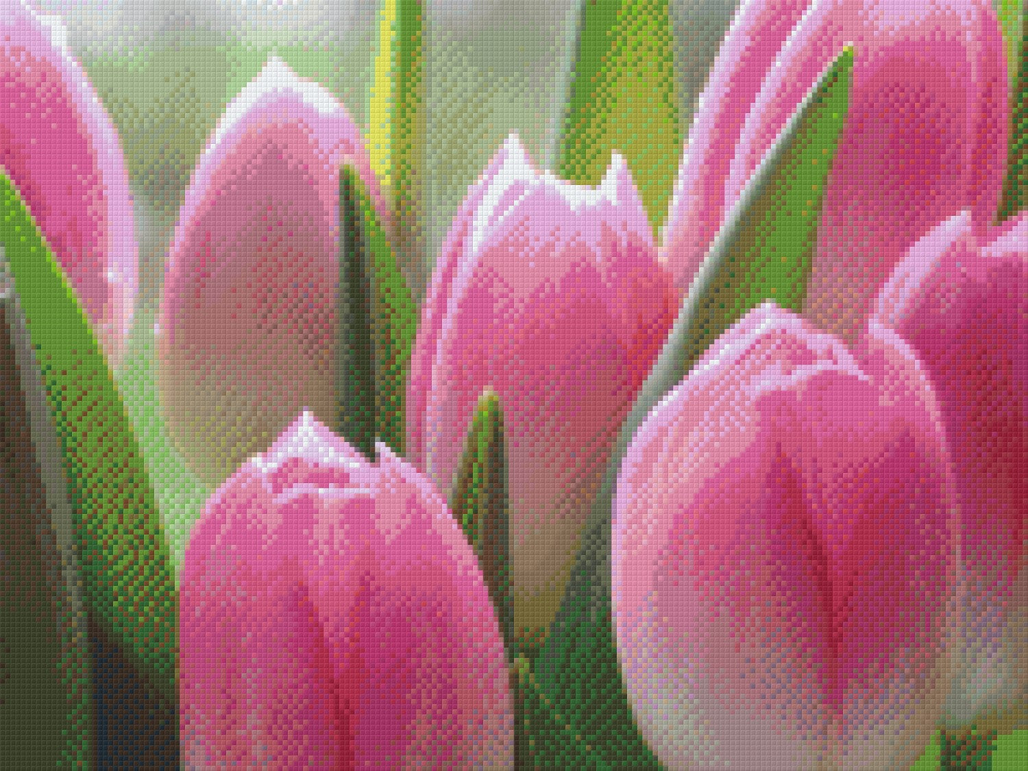 lets-order-pixelhobby-klassik-vorlage-tulpen-supply_0.jpg