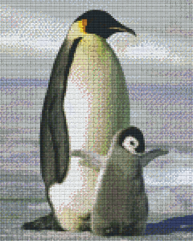 its-not-easy-being-a-fan-to-buy-pixelhobby-klassik-vorlage-pinguin-spielen-supply_0.png