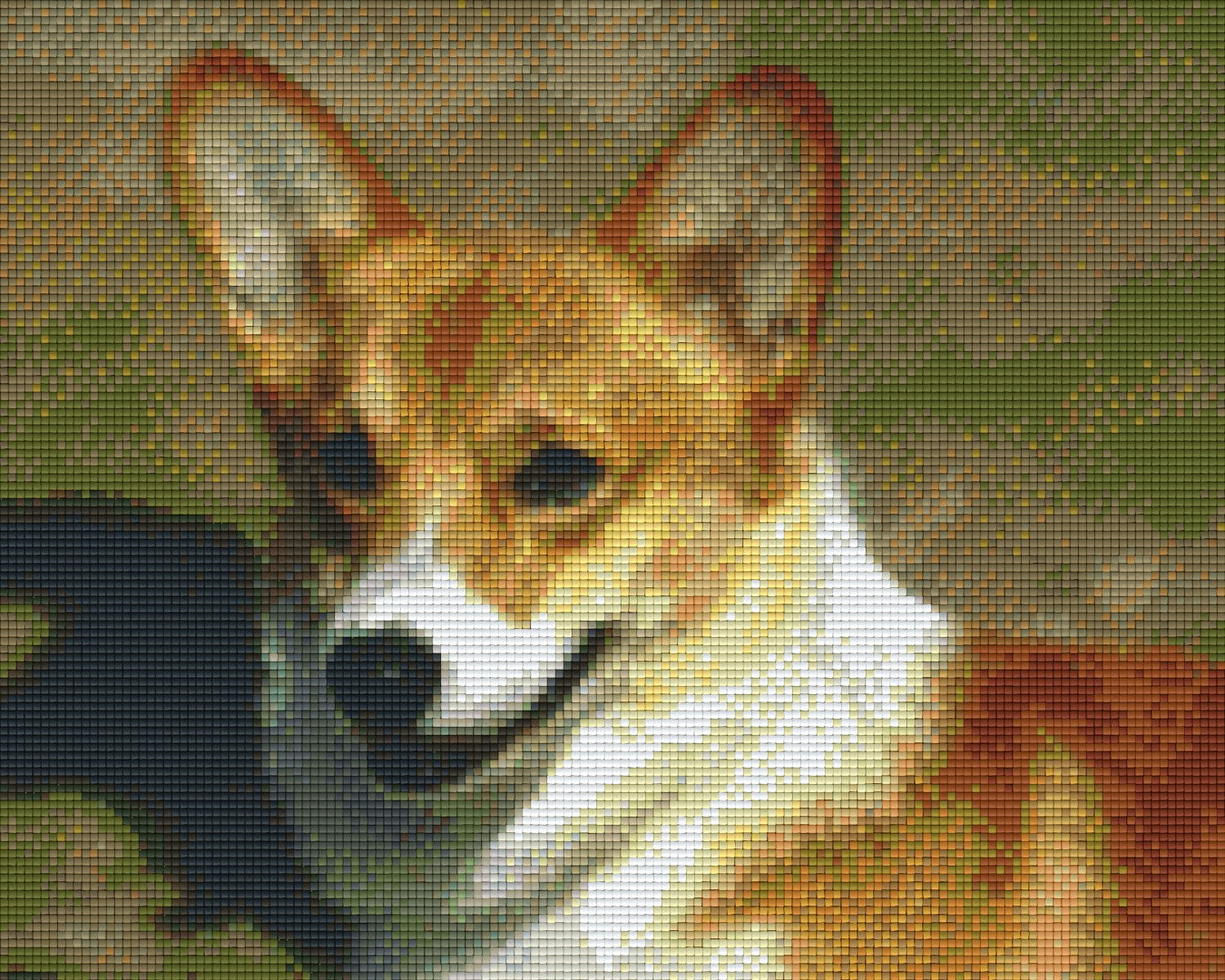 buy-your-game-pixelhobby-klassik-vorlage-corgi-fashion_0.jpg
