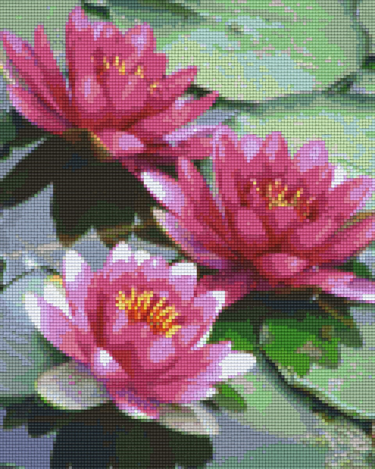 make-your-order-official-of-pixelhobby-klassik-vorlage-seerosen-online_0.jpg
