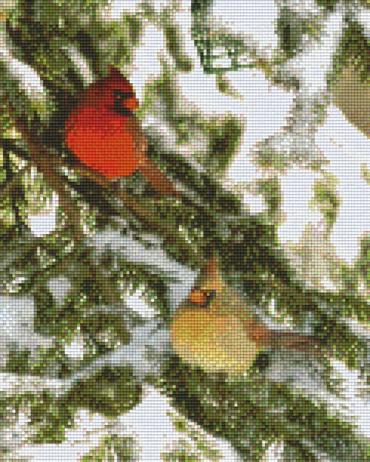 where-you-can-buy-all-your-pixelhobby-klassik-vorlage-kardinal-vogel-sale_0.jpg