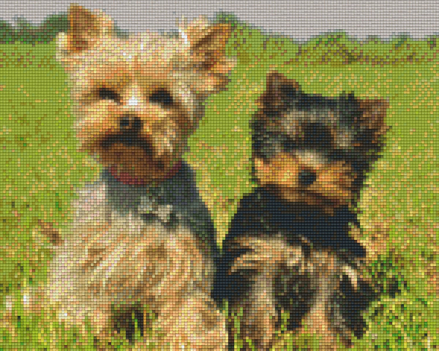 shop-our-official-pixelhobby-klassik-vorlage-terrier-online_0.jpg