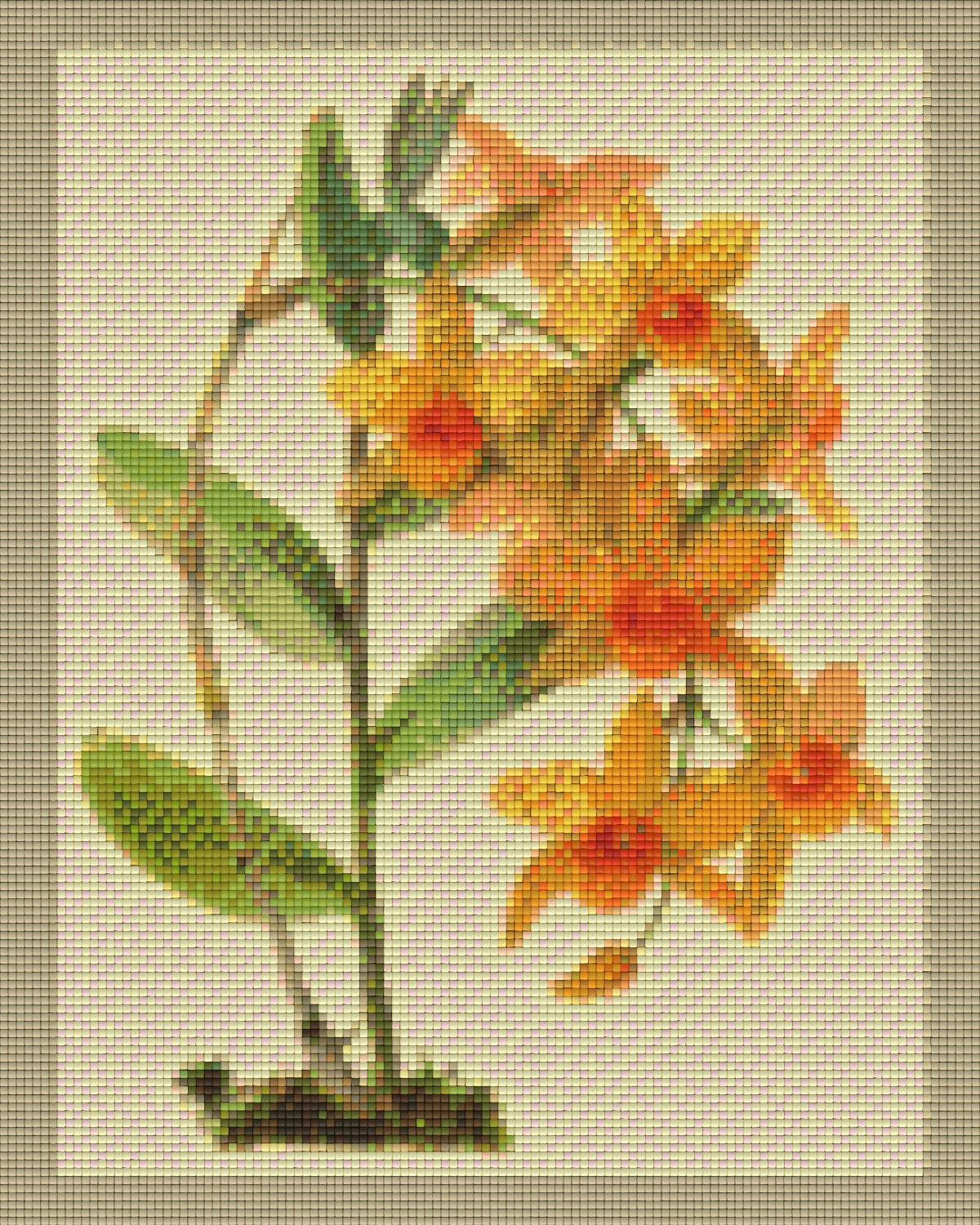 the-ultimate-online-sports-store-for-pixelhobby-klassik-vorlage-orchideenzweig-im-rahmen-online-sale_0.jpg