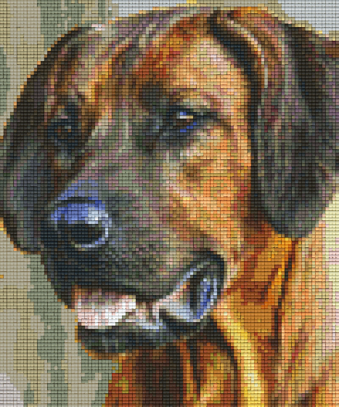 the-worlds-best-authentic-pixelhobby-klassik-vorlage-hund-fashion_0.png