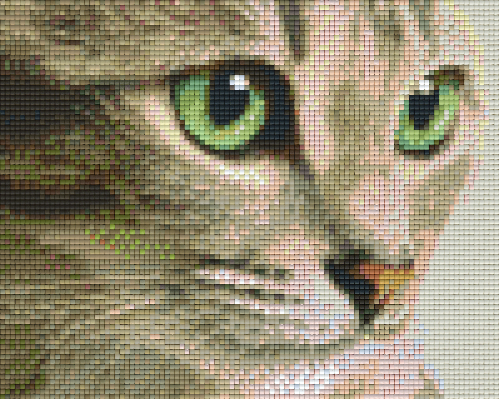 get-the-latest-pixelhobby-klassik-vorlage-katze-discount_0.png